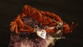 Armband aus Leder