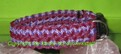 Halsband bordeaux-violett