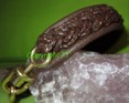 Bolaband dunkelbraun-Leder dunkelbraun