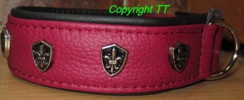 Halsband Leder, Rollschnalle mit Nieten