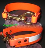Halsband Biothane
