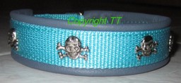 Halsband Gurtband türkis