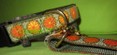 Set Leine - Klickhalsband