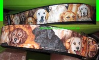 Halsband Labrador und Golden Retriever