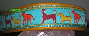 Halsband Dogs bunt