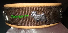 Halsband Terriernieten
